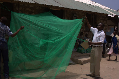 New mosquito net